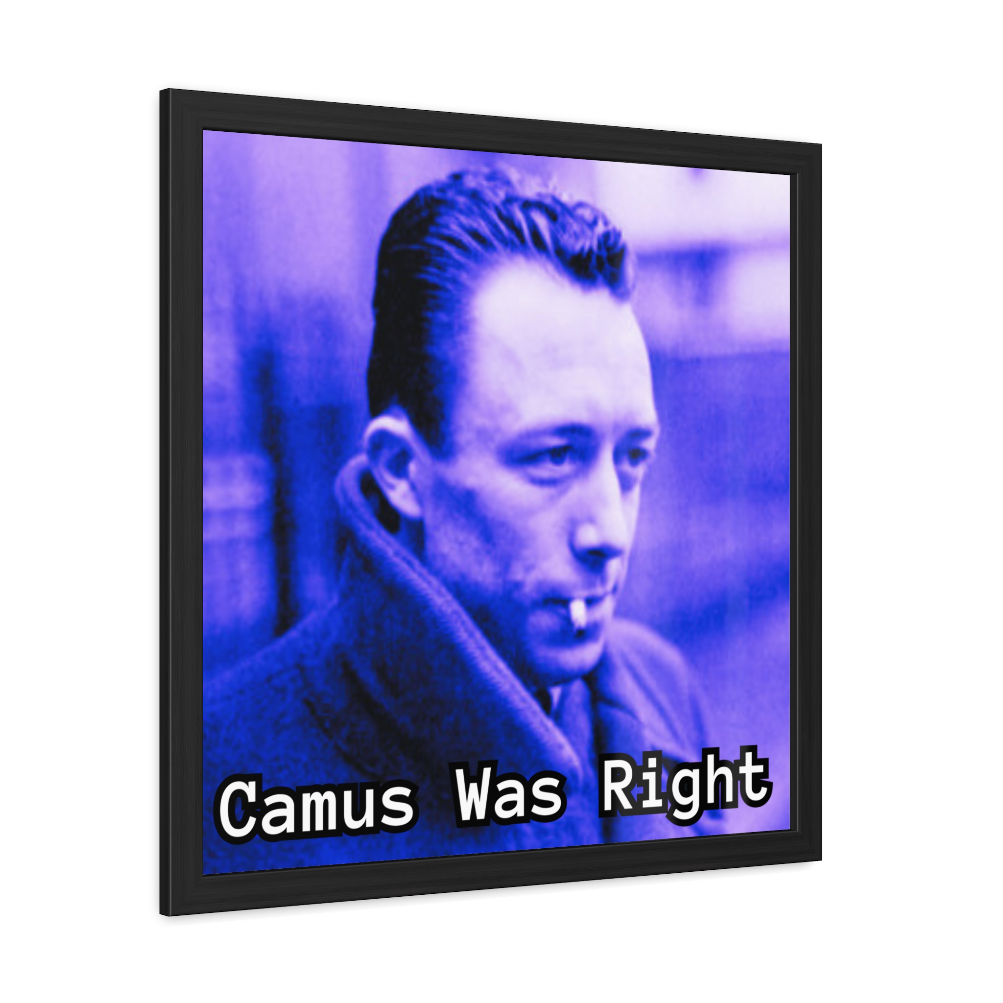 Framed Posters - Image 5