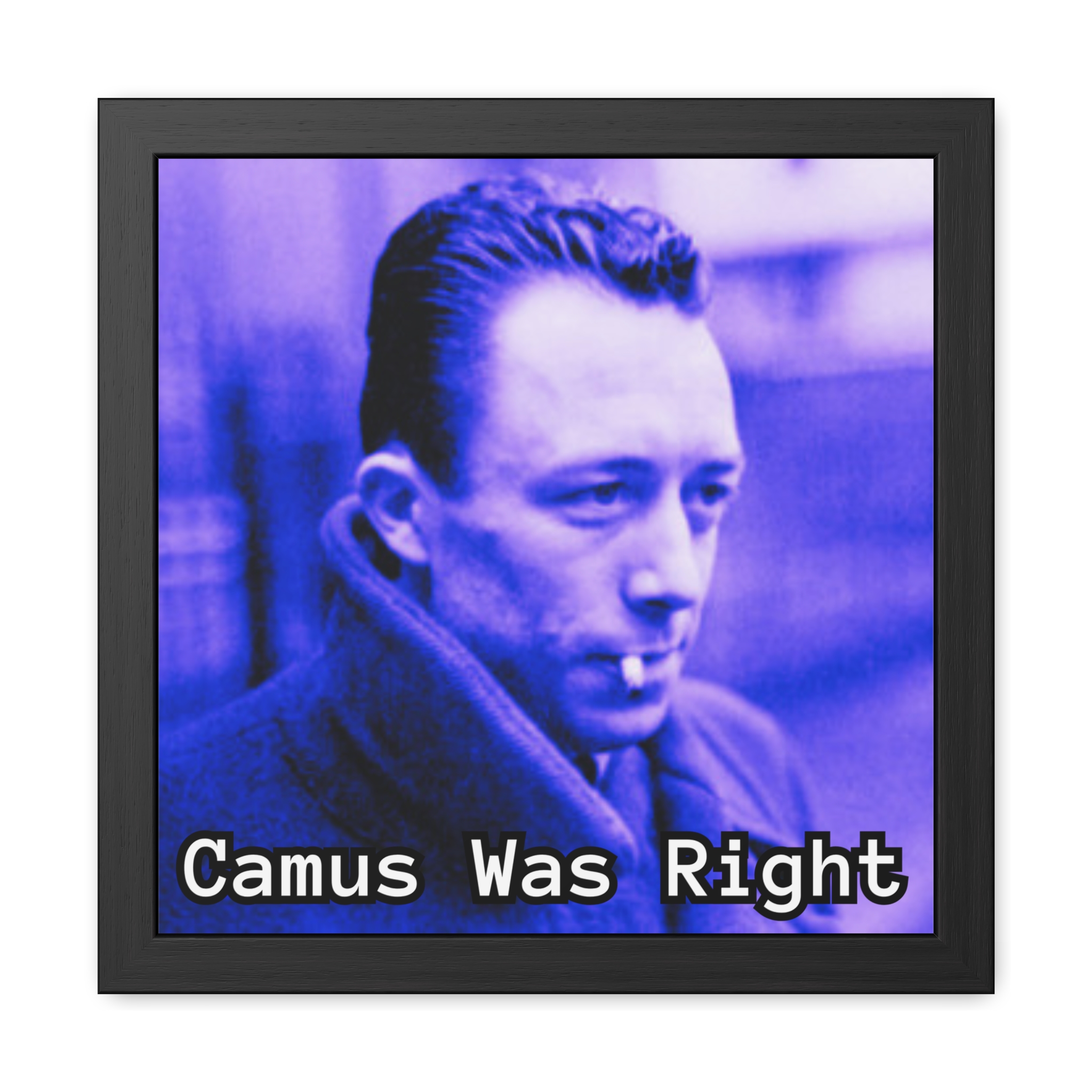 Framed Posters - Image 4