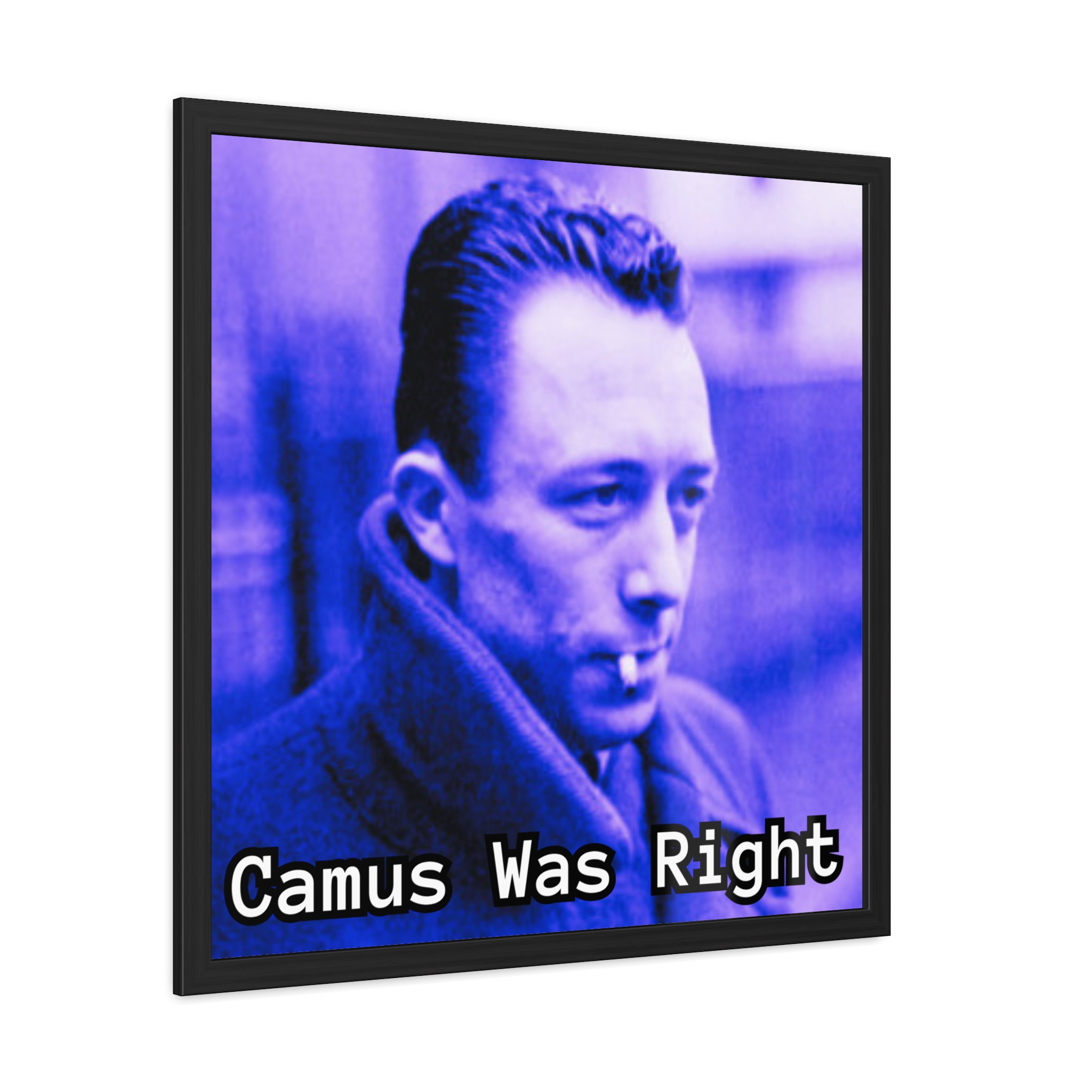 Framed Posters - Image 9