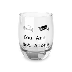 You Are Not Alone Whiskey Glass — Surveillance Camera Novelty Rocks Glass